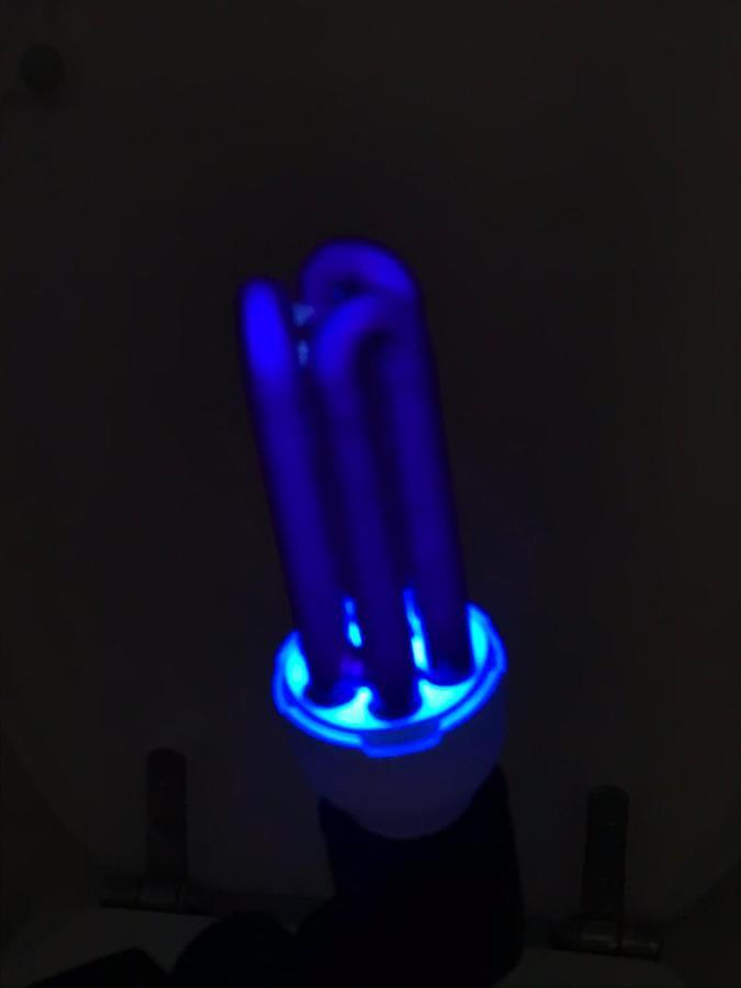 Apartament Flora Deluxe Naswietlanie Uv 比亚韦斯托克 外观 照片